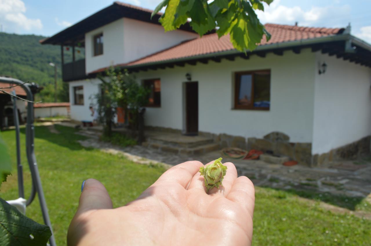 Guest House Yana Tŭrkasheni Εξωτερικό φωτογραφία