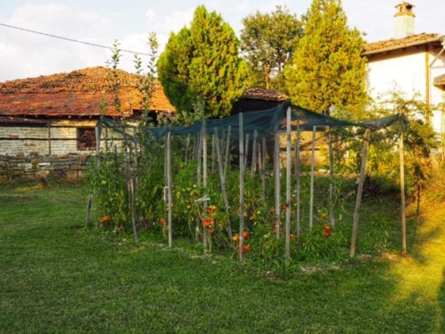 Guest House Yana Tŭrkasheni Εξωτερικό φωτογραφία