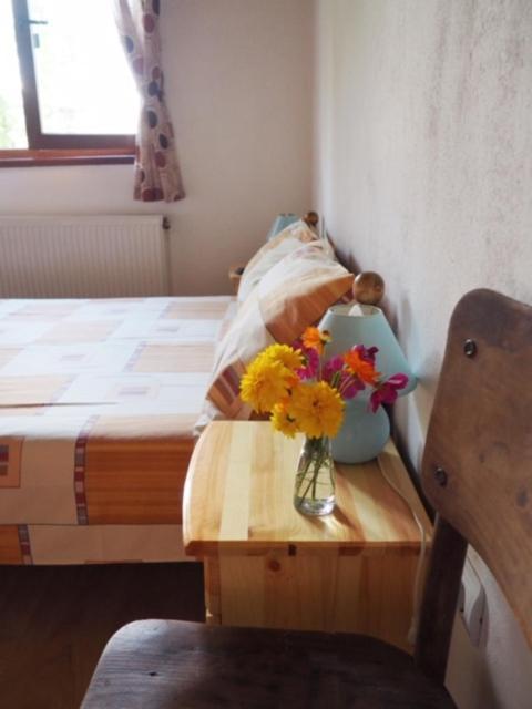 Guest House Yana Tŭrkasheni Εξωτερικό φωτογραφία