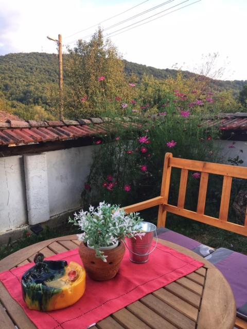 Guest House Yana Tŭrkasheni Εξωτερικό φωτογραφία