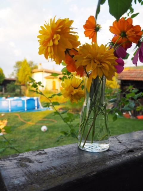Guest House Yana Tŭrkasheni Εξωτερικό φωτογραφία